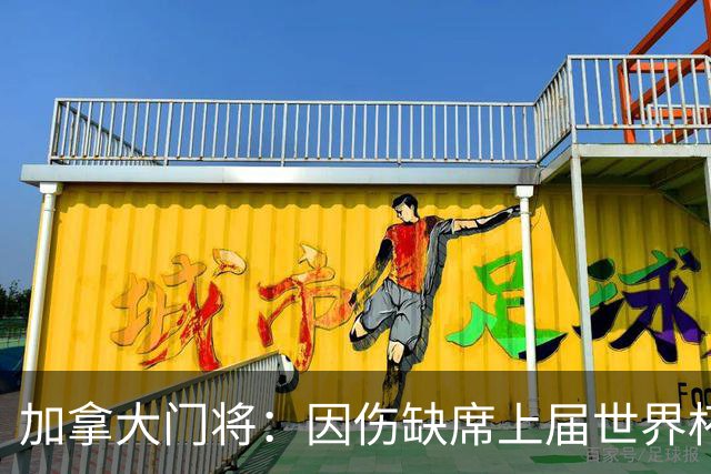 加拿大门将：因伤缺席上届世界杯我心态崩了，这届是对自己的承诺