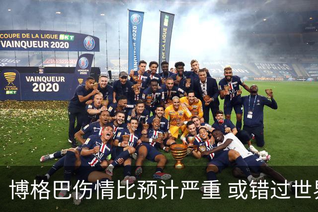 博格巴伤情比预计严重 或错过世界杯到明年才复出