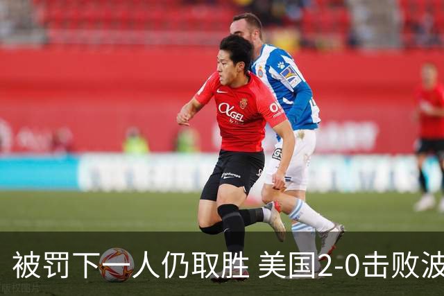 被罚下一人仍取胜 美国2-0击败波黑晋级16强