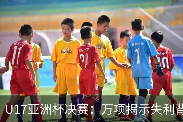U17亚洲杯决赛：万项揭示失利背后的深层原因与未来展望